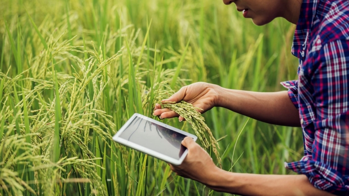 Industries Services 4 pre shipment inspection service company in dong nai